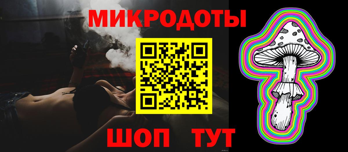 Галлюциногенные грибы Psilocybine cubensis Вышний Волочёк