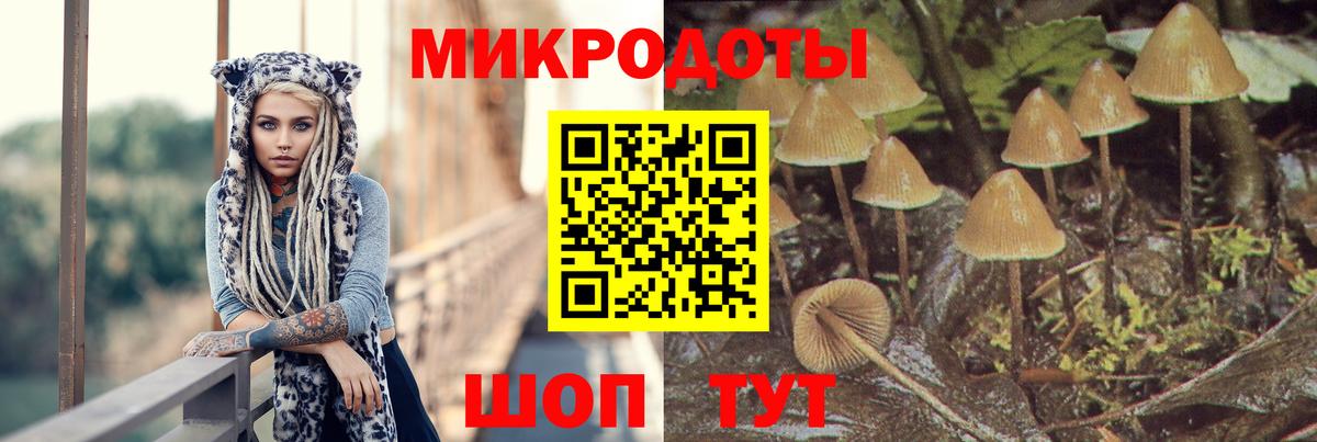 Вышний Волочёк  Псилоцибиновые грибы Psilocybine cubensis  Вход с VPN 